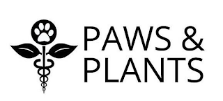 PAWS & PLANTS logo