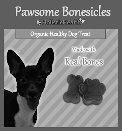 PAWSOME BONESICLES BY HOLISTICHEALTH ORGANIC HEALTHY DOG TREAT MADE WITH REAL BONES logo