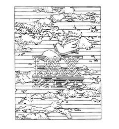 PAX NET logo