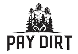 PAY DIRT logo