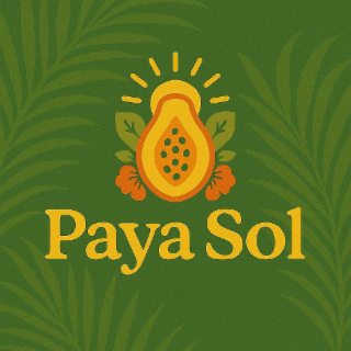 PAYA SOL logo