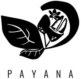 PAYANA logo