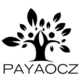 PAYAOCZ logo