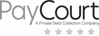 PAYCOURT A PRIVATE DEBT COLLECTION COMPANY logo