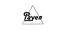PAYEN logo