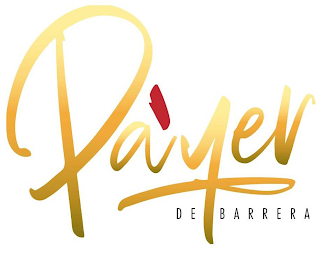 PAYER DE BARRERA logo