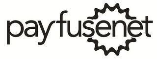 PAYFUSENET logo