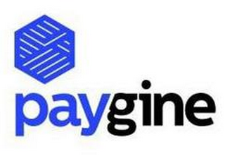 PAYGINE logo