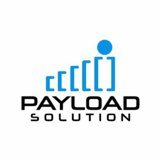 PAYLOAD SOLUTION logo