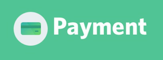 PAYMENT logo