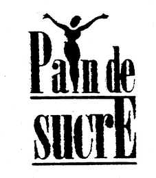 PAYN DE SUCRE logo