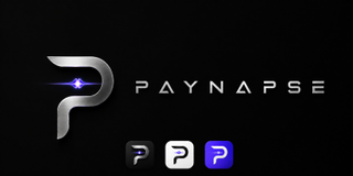 PAYNAPSE logo