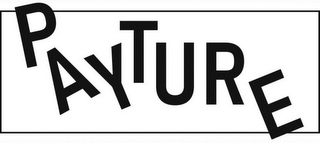PAYTURE logo