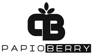 PB PAPIOBERRY logo