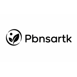 PBNSARTK logo