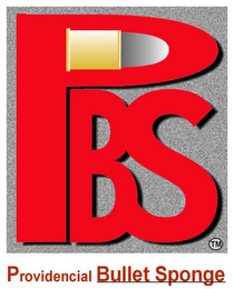 PBS PROVIDENCIAL BULLET SPONGE logo