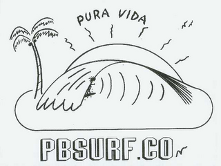PBSURF.CO logo