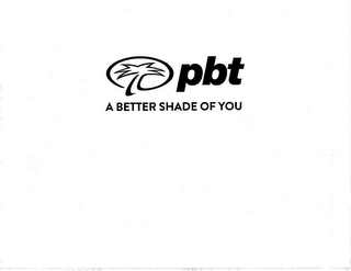 PBT A BETTER SHADE OF YOU logo
