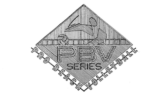 PBV PRO BEACH VOLLEYBALL SERIES