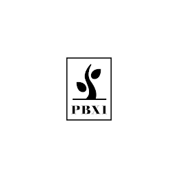 PBX1 logo