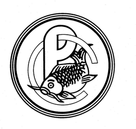 PC logo
