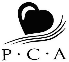 PCA logo