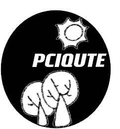 PCIQUTE logo