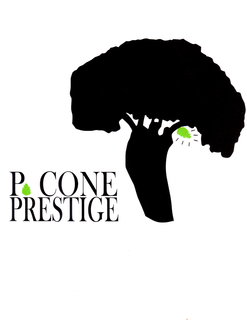 P.CONE PRESTIGE logo