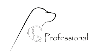 PCPROFESSIONAL logo