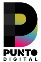 PD PUNTO DIGITAL logo