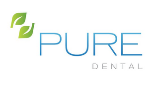 PD PURE DENTAL logo