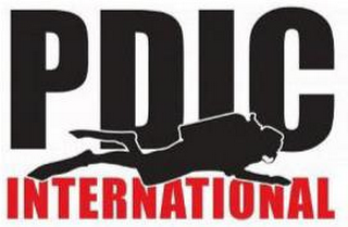 PDIC INTERNATIONAL logo