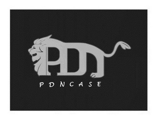 PDNCASE logo