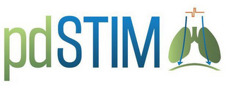 PDSTIM logo