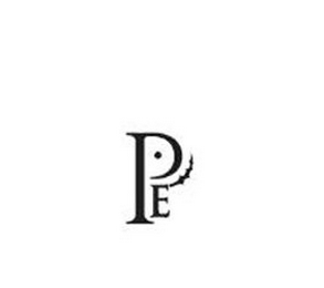 PE logo