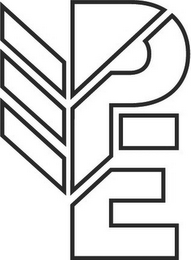 PE logo