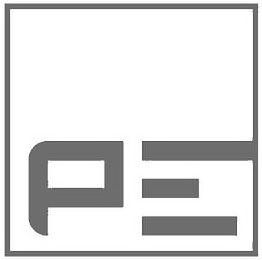 PE logo