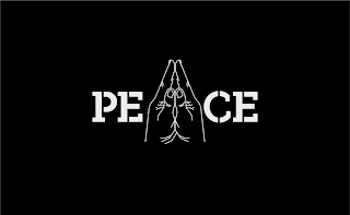 PE CE logo