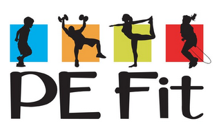 PE FIT logo