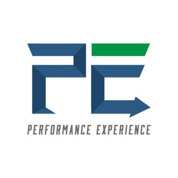 PE PERFORMANCE EXPERIENCE logo