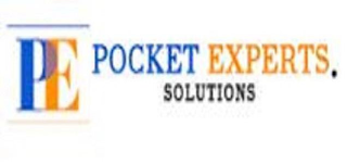 PE POCKET EXPERTS. SOLUTIONS logo