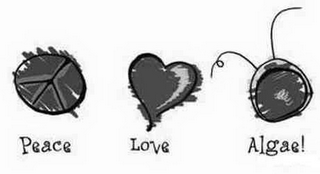 PEACE LOVE ALGAE! logo