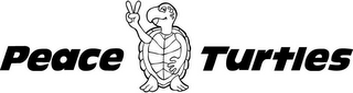 PEACE TURTLES logo