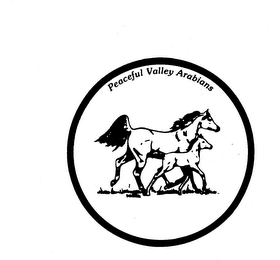 PEACEFUL VALLEY ARABIANS logo