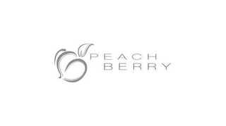PEACH BERRY logo