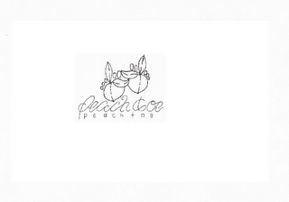 PEACH TOE logo