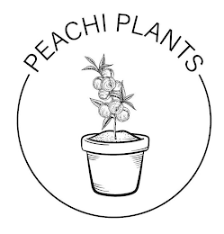 PEACHI PLANTS logo
