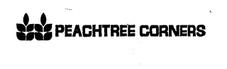 PEACHTREE CORNERS logo