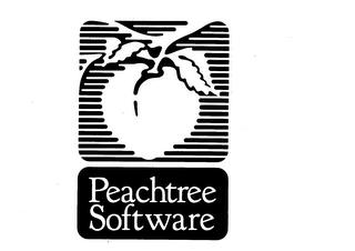 PEACHTREE SOFTWARE