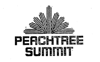 PEACHTREE SUMMIT logo